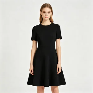 Black Fitted A-Line Dress